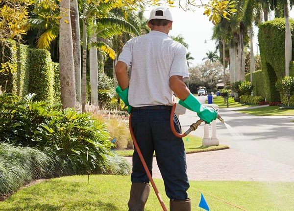 About El Cerrito CA Pest Control
